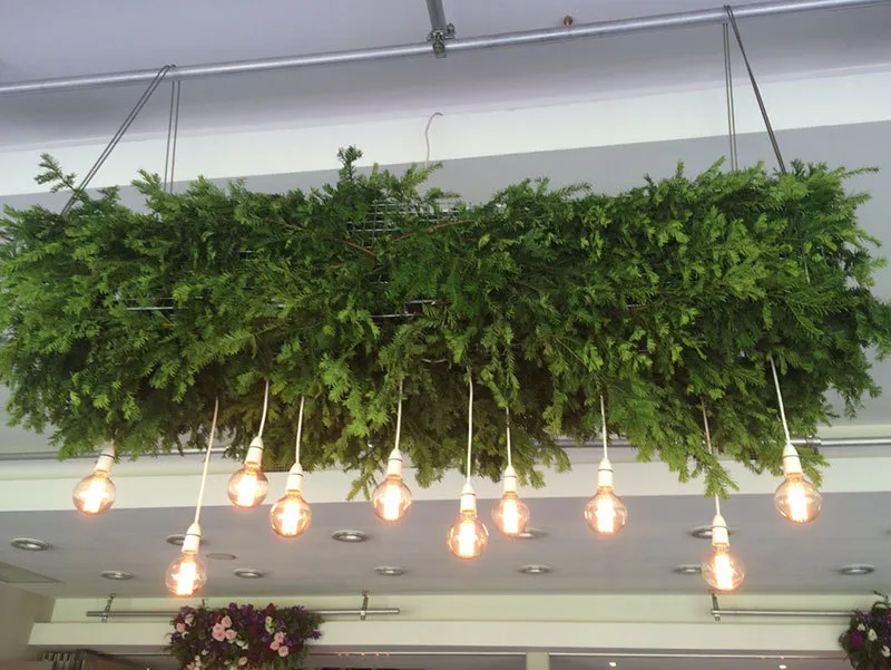 Balgownie Winery photo